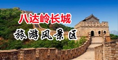 免费看操屄电影中国北京-八达岭长城旅游风景区